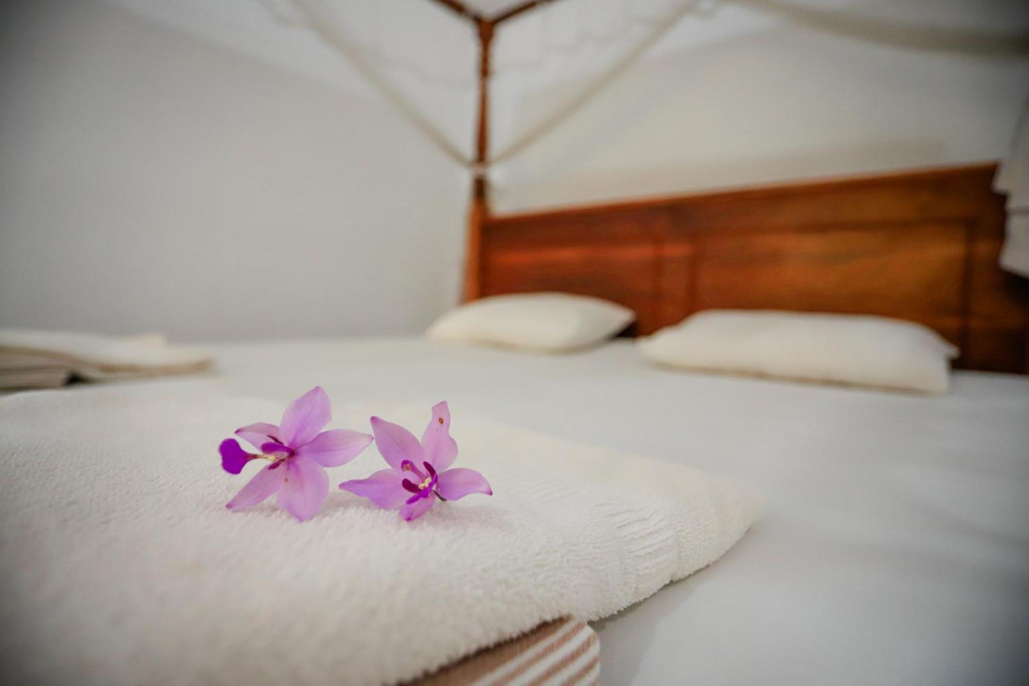 Serene Home Stay Udawalawe Exterior photo